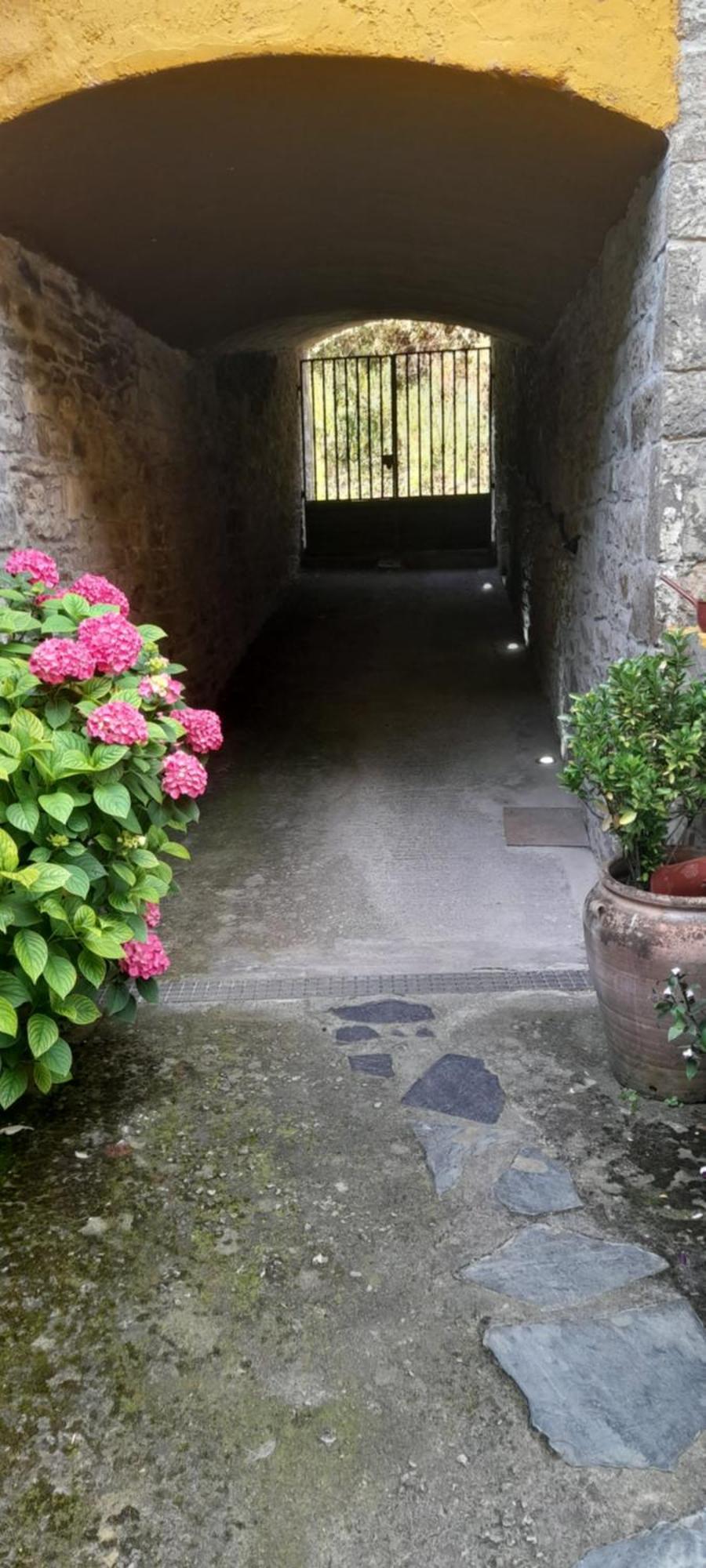 El Sumiciu Guest House Mieres  Exterior photo